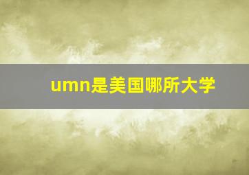 umn是美国哪所大学