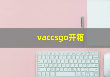 vaccsgo开箱