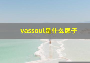 vassoul是什么牌子