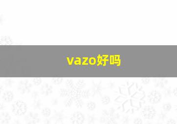 vazo好吗