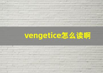 vengetice怎么读啊