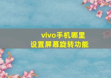 vivo手机哪里设置屏幕旋转功能