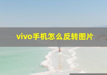 vivo手机怎么反转图片