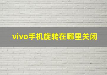 vivo手机旋转在哪里关闭