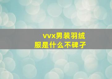 vvx男装羽绒服是什么不碑孑