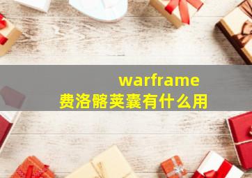 warframe费洛髂荚囊有什么用