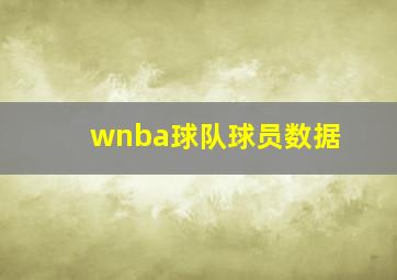 wnba球队球员数据