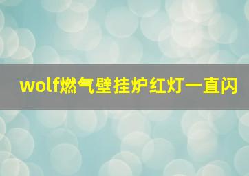 wolf燃气壁挂炉红灯一直闪