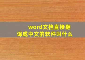 word文档直接翻译成中文的软件叫什么