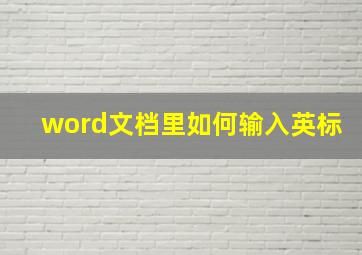 word文档里如何输入英标