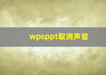 wpsppt取消声音