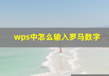 wps中怎么输入罗马数字