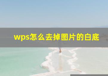 wps怎么去掉图片的白底