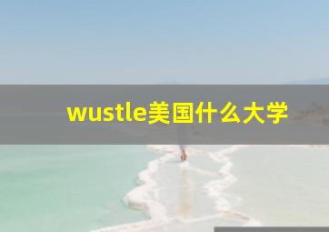 wustle美国什么大学