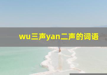 wu三声yan二声的词语