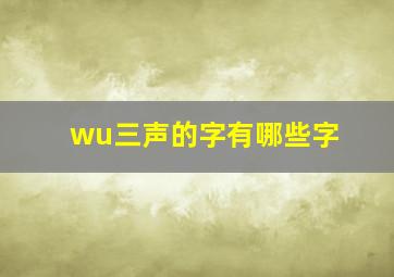 wu三声的字有哪些字