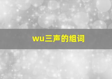 wu三声的组词