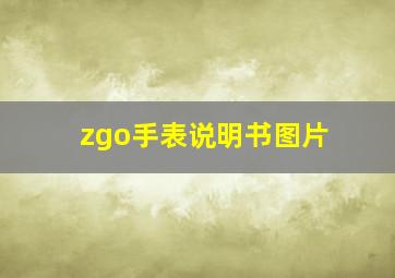 zgo手表说明书图片