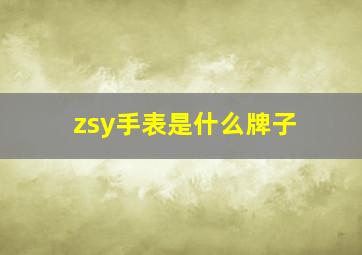 zsy手表是什么牌子