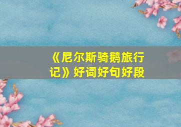 《尼尔斯骑鹅旅行记》好词好句好段