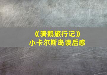 《骑鹅旅行记》小卡尔斯岛读后感