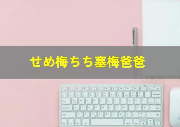 せめ梅ちち塞梅爸爸