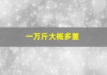 一万斤大概多重