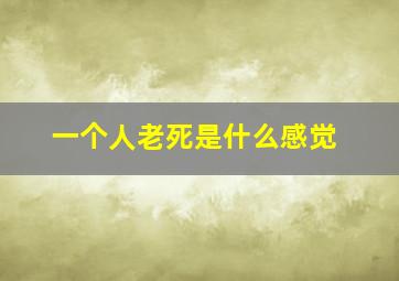 一个人老死是什么感觉