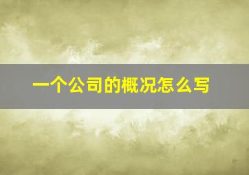 一个公司的概况怎么写