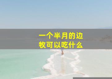 一个半月的边牧可以吃什么