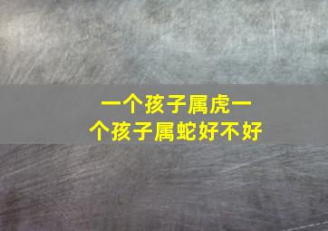 一个孩子属虎一个孩子属蛇好不好