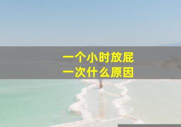 一个小时放屁一次什么原因