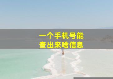 一个手机号能查出来啥信息