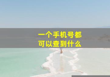 一个手机号都可以查到什么