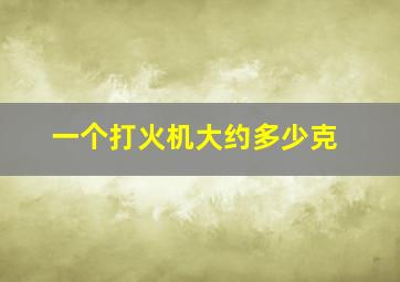 一个打火机大约多少克