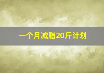 一个月减脂20斤计划