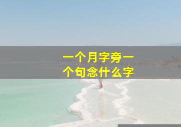 一个月字旁一个句念什么字