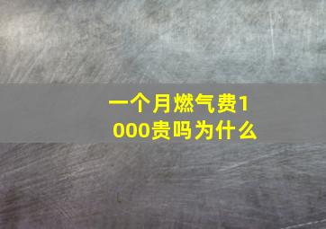 一个月燃气费1000贵吗为什么