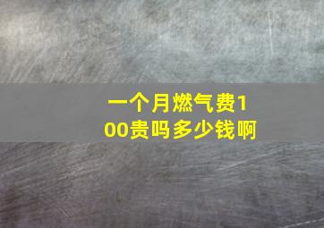 一个月燃气费100贵吗多少钱啊