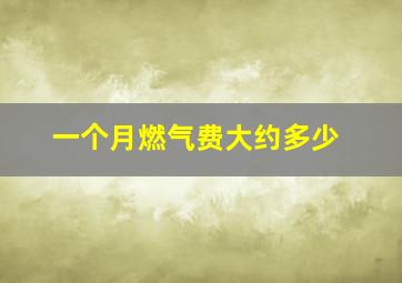 一个月燃气费大约多少