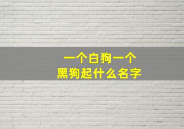 一个白狗一个黑狗起什么名字