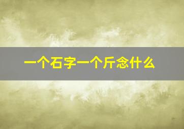 一个石字一个斤念什么