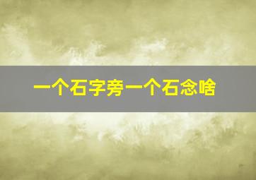 一个石字旁一个石念啥