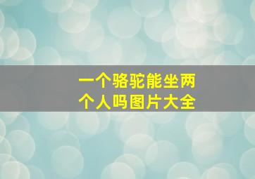 一个骆驼能坐两个人吗图片大全