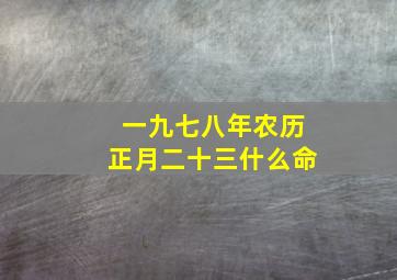 一九七八年农历正月二十三什么命