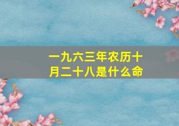 一九六三年农历十月二十八是什么命