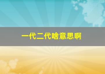 一代二代啥意思啊