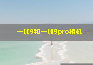 一加9和一加9pro相机