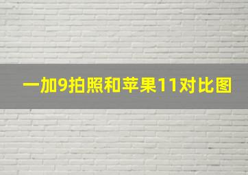 一加9拍照和苹果11对比图