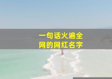 一句话火遍全网的网红名字